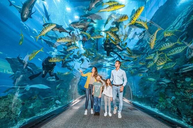 Dubai Aquarium & Underwater Zoo  — image 2